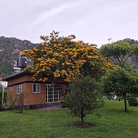 Posada Meztitla Tepoztlán Extérieur photo