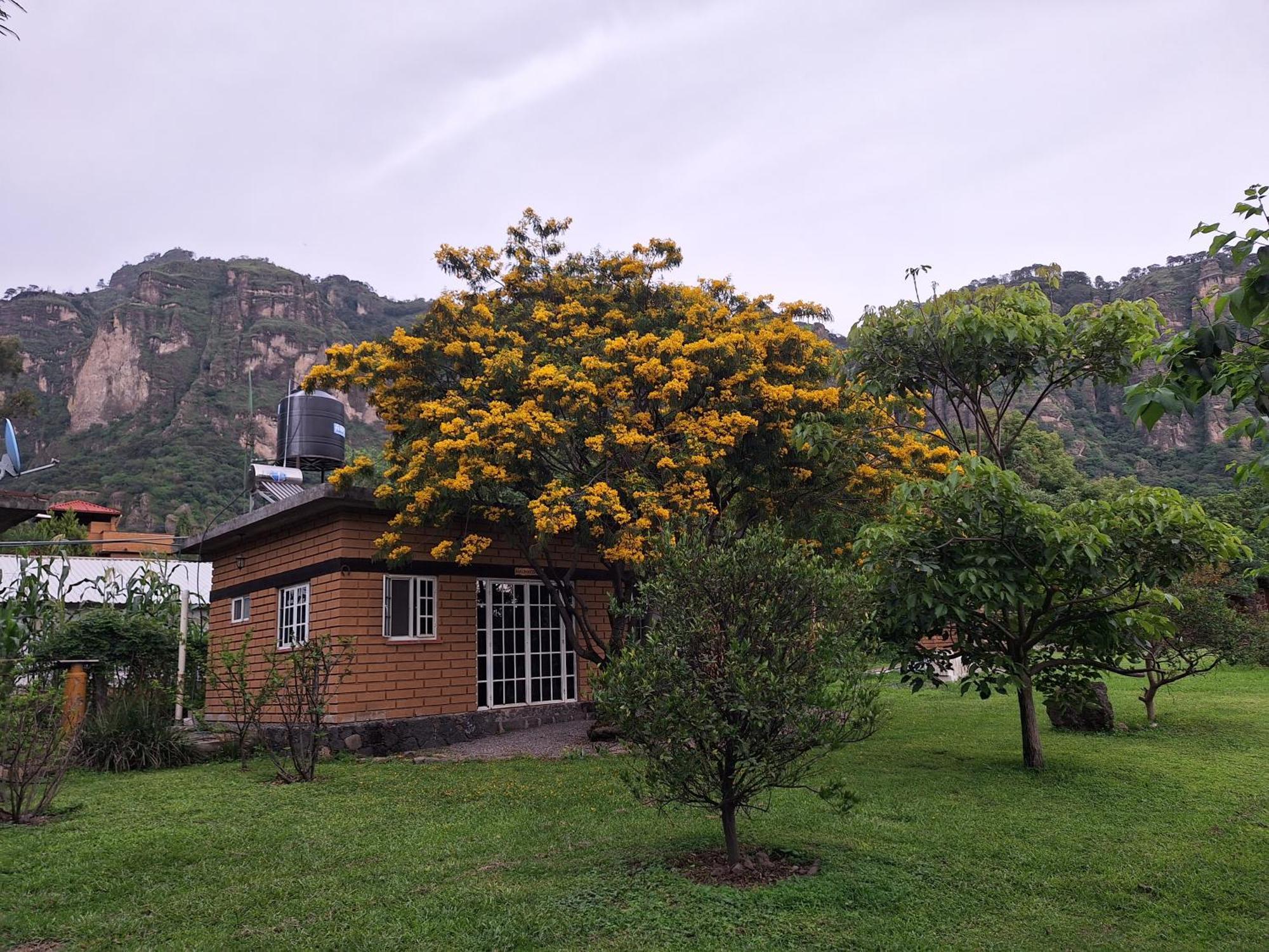 Posada Meztitla Tepoztlán Extérieur photo